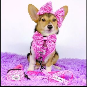 Barbie Sassy Woof Dog Adjustable Harness Size: LG With 60” Leash!!